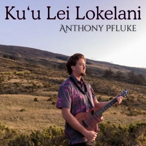 Maui artists shine in 2026 N Hk nominations