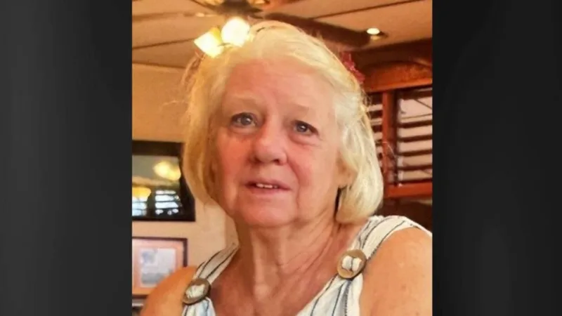 69-year-old woman in Mountain View is missing and may need medial help