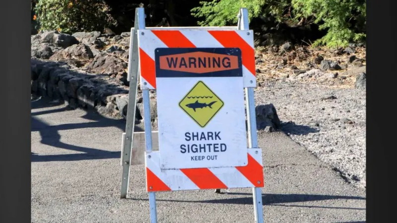 Beach parks in Hilo close following shark sighting