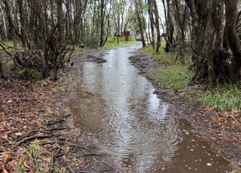 Flood watch issued for Hawaii Island until Saturday morning