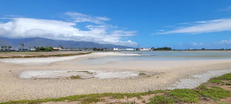 Photo of the Day: Parched Kanaha Pond