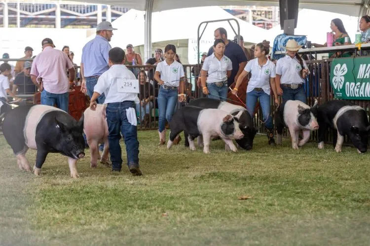 Maui AgFest returns May 30