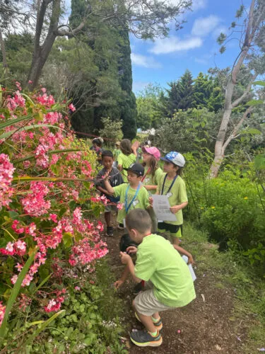 Photo of the Day: Learning Hawai'i Habitat