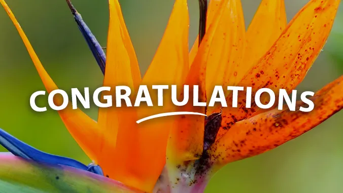 UH student, faculty honored for excellence in undergraduate education 2026