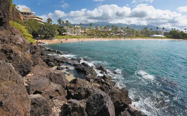 Missing swimmer raises talk of lifeguard services