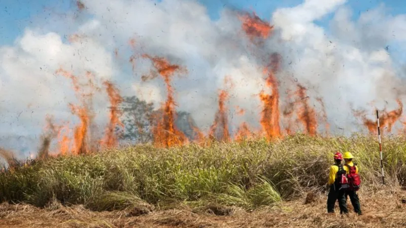 UPDATE: Hawaiian Electric to continue monitoring wildfire risk conditions overnight in areas of Big Island, Maui