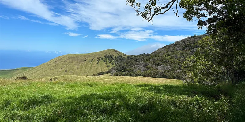 5/28/26 -- COMMUNITY INPUT INVITED FOR KOHALA FOREST PROTECTION