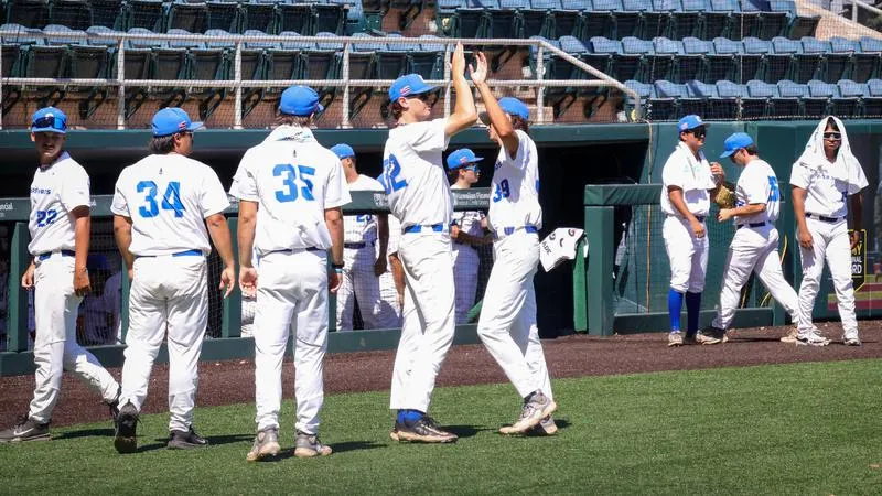 Baseball Season Review