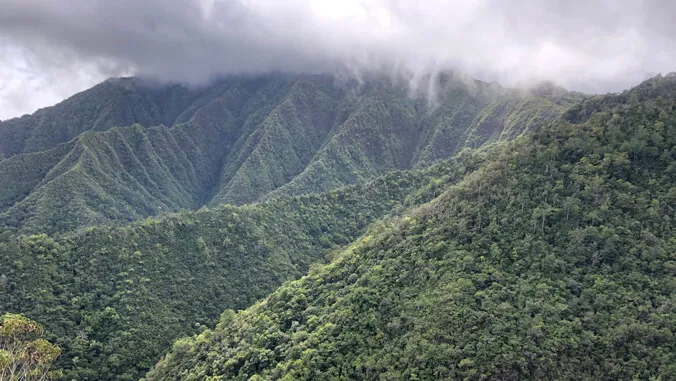 How AI and field tech are clearing through the fog on Mount Kaala