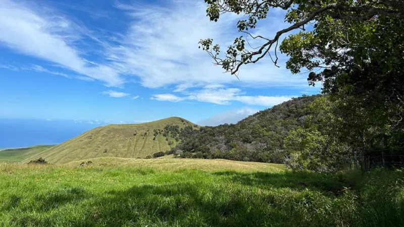Community input sought on project to protect natural area reserve in Kohala