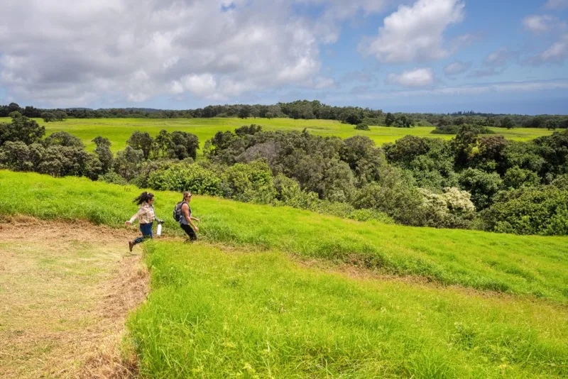 Public input sought on site management plan, environmental assessment of Hawai'i Volcanoes National Park's Kahuku Unit