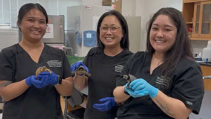 Perfect match: How Windward CC vet tech students get jobs before graduation