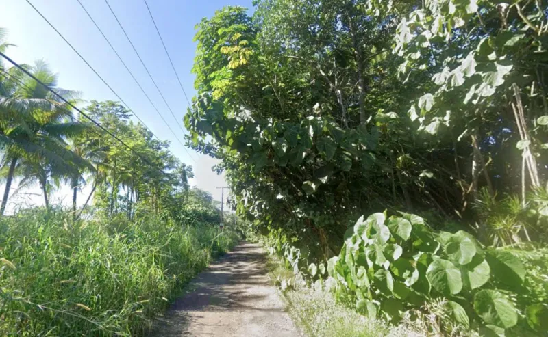 Hawaii County Council moves forward on using eminent domain for Puna road project