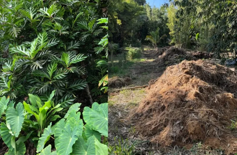 Growing resilience: Workshop series supports small farms, community-based agriculture