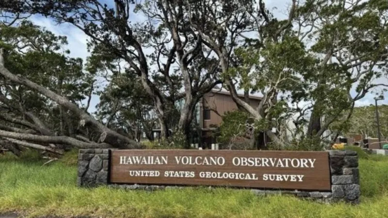 Volcano Watch: 'Stick Season' in Hawaii? What happened to the leaves around summit of Klauea?