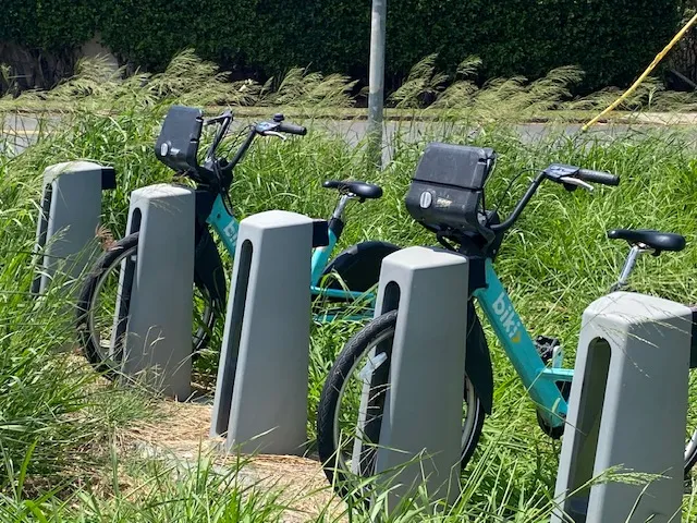 Lee Cataluna: Biki Is A Waste Of Money. Get Over It