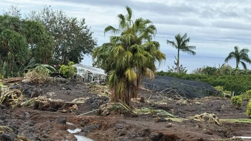 One week left to apply for federal aid following March Kona low flooding
