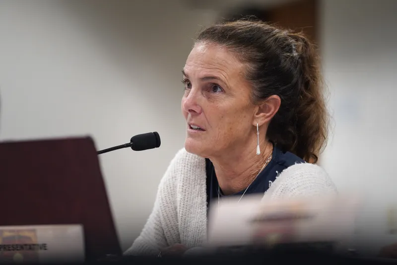 'Cannot Happen Again': Lawmaker Targets Doctors Who Impregnate Patients