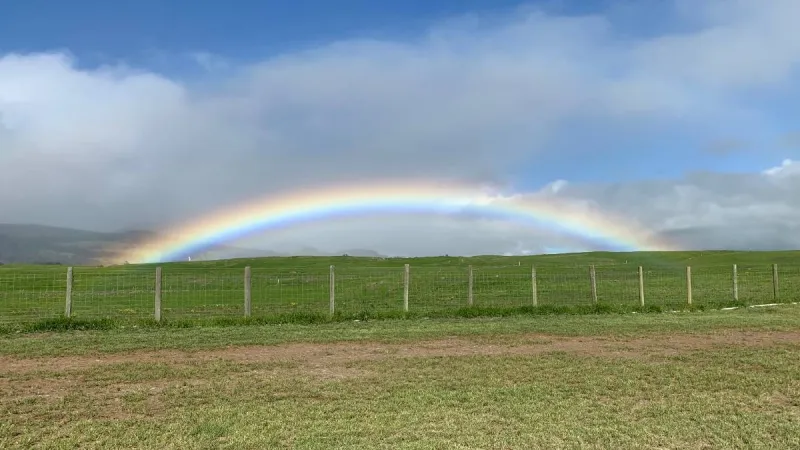 Hawaii County Weather Forecast for June 10, 2026