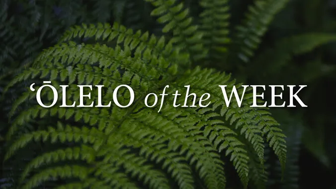 Hawaiian Word of the Week: Kohol