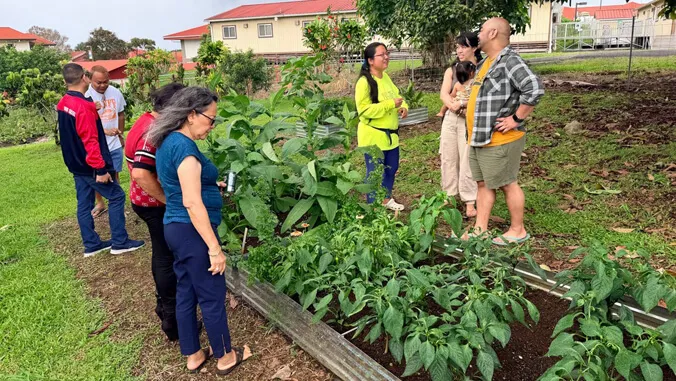 3 UH Hilo colleges unite to grow Medicinal Garden