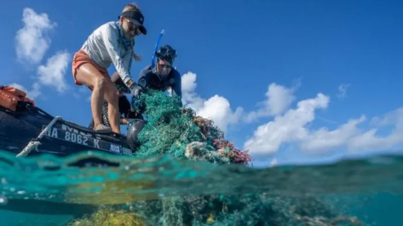 Record 10 Telly Awards claimed by Hawaii Sea Grant's 'Voice of the Sea' television series
