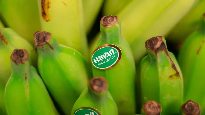 $322K grant aims at invasive plant diseases threatening Hawaii