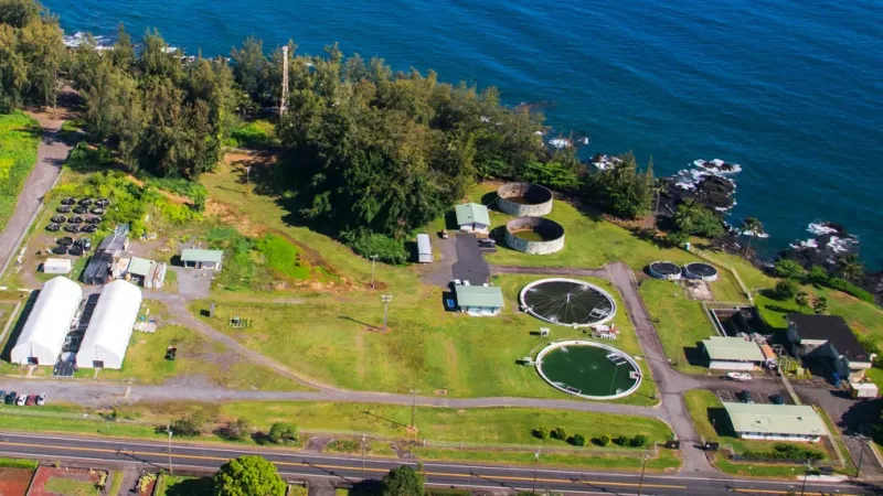 UH Hilo aquaculturists join $13.5M national consortium to strengthen U.S. seafood supply