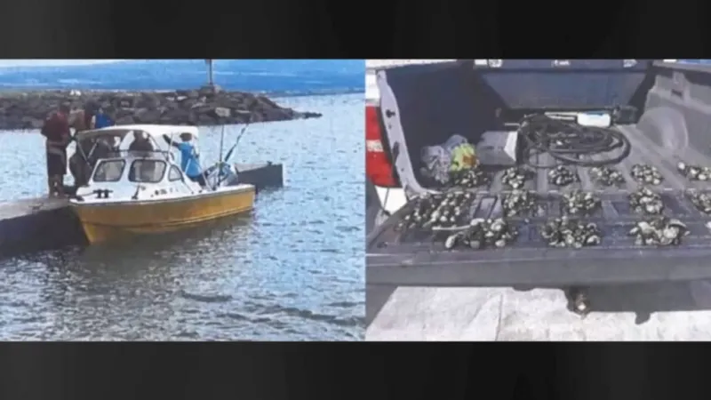 State seeks to fine 3 Big Island men for illegal take of 4,000 'opihi from marine reserve
