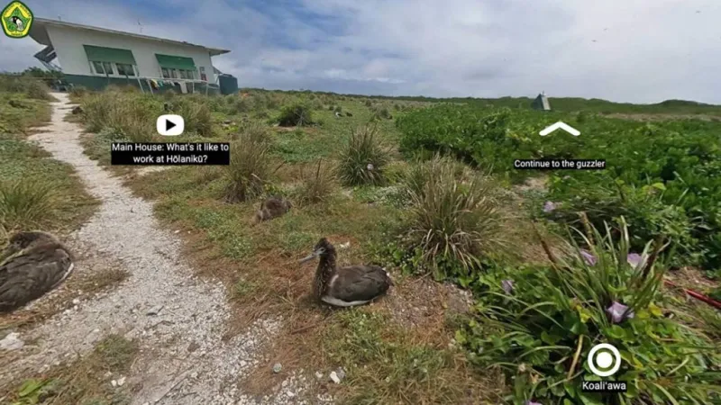 Observe 'Year of Our Coastal Kuleana' with online visits to remote seabird sanctuaries
