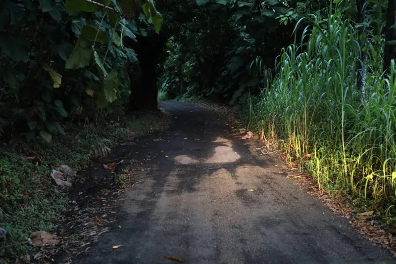 Hawaii County postpones vote on using eminent domain to widen rural road in Puna