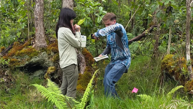 Scientists rush seismic sensors to Mauna Loa after 6.0 quake