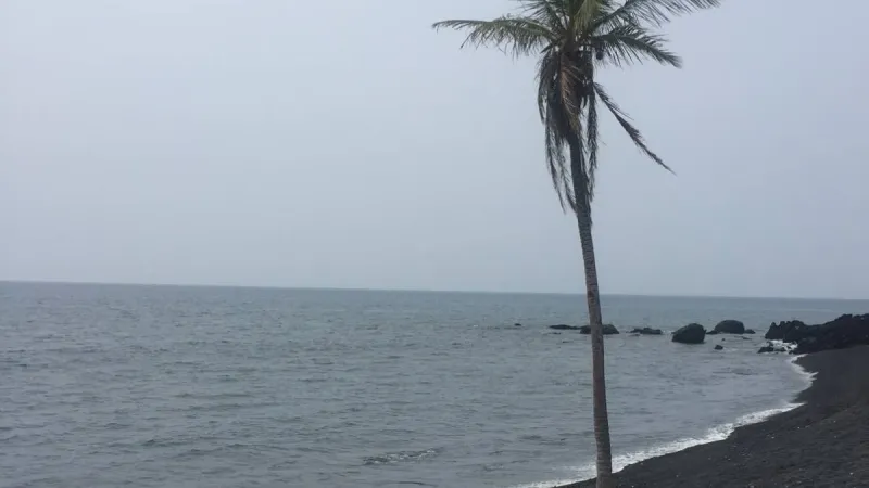 Hawaii County Surf Forecast for June 21, 2026