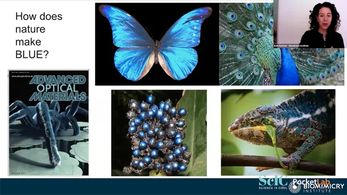 Free virtual event connects thousands of teachers with UH science research