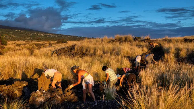 From Vietnam War to peaceful Plamanui, Hawaii CC professor's journey in Storyland