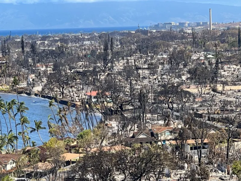 Next phase of University of Hawai'i study about Maui wildfire recovery awarded $2.2M grant
