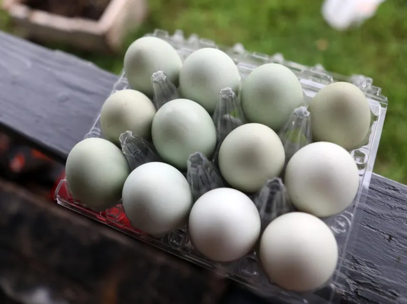 Multi-state investigation found egg producers colluded to increase the price of eggs nationwide for years