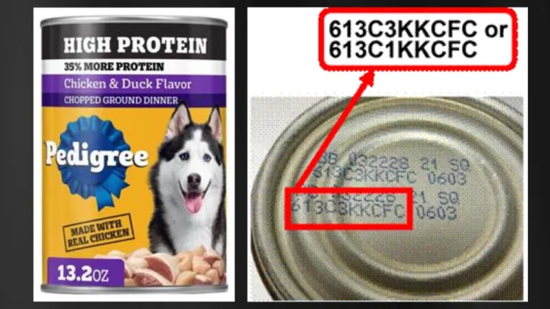 Hawaii DOH warns consumers about recalled Pedigree wet dog food