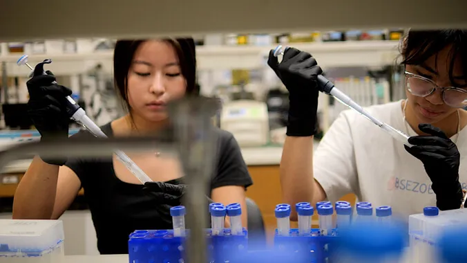 Image of the Week: Noni lab
