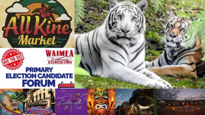 Top 10 things to do on Big Island for July 10-16: All Kine Market, Tiger Fun Day, stargazing, candidate 'speed dating', plus more