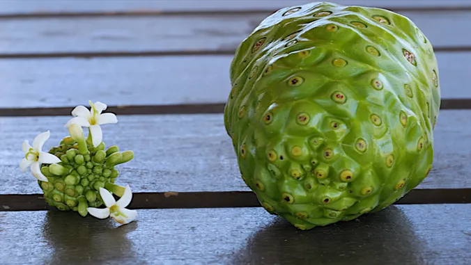 Mapping genetic blueprints of Hawaii's healing plants