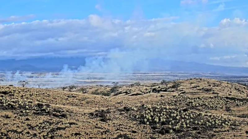 Hawai'i Fire responds to brush fire in Waikloa