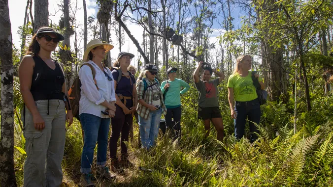 10 years of training forest landowners to protect Hawaii forests