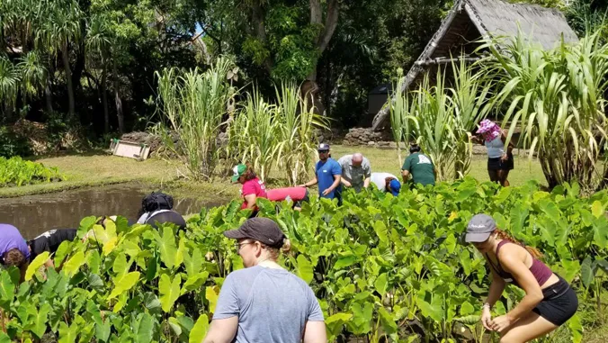Congress approves $2.4M for Hawaii Sea Grant to support coastal communities
