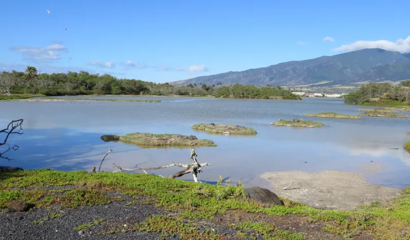 KANAH POND WILDLIFE SANCTUARY WATER TO RETURN