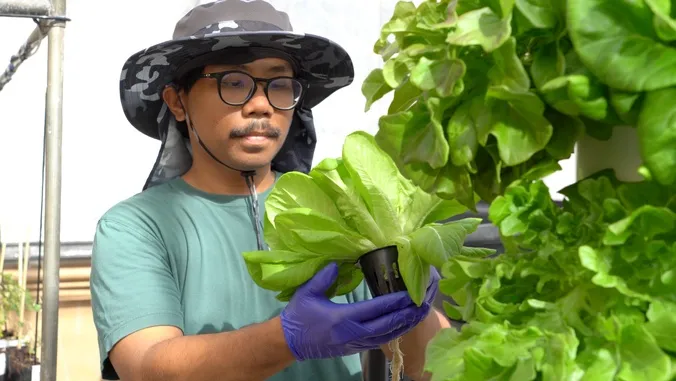 UH reaches new heights with vertical farms