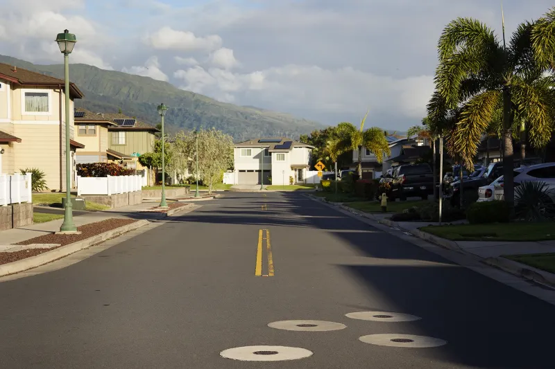 Invasive Species, Sustainability And Planning: Maui County Council -- Kahului District