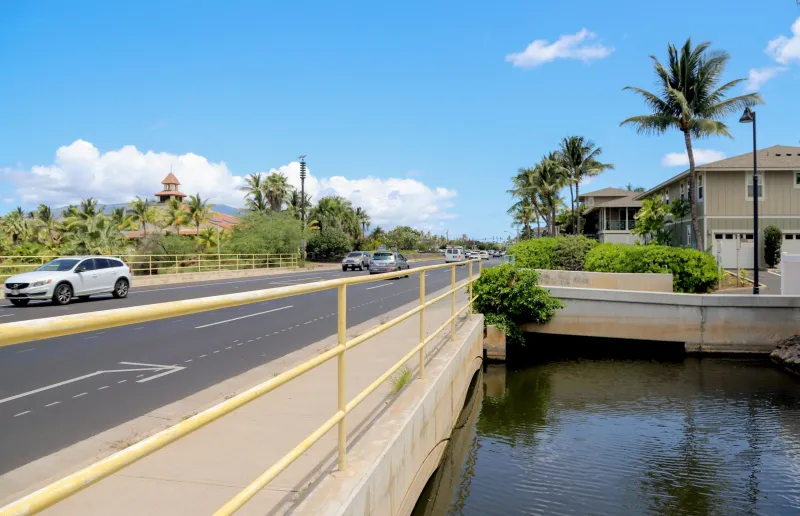 Wetlands, ICE And Accountability: Maui County Council, South Maui District Candidate Q&As