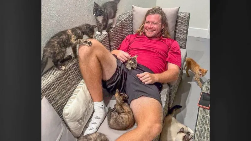 Business Monday: Cuddle with kittens who want a furever home at the Kona Kat Caf