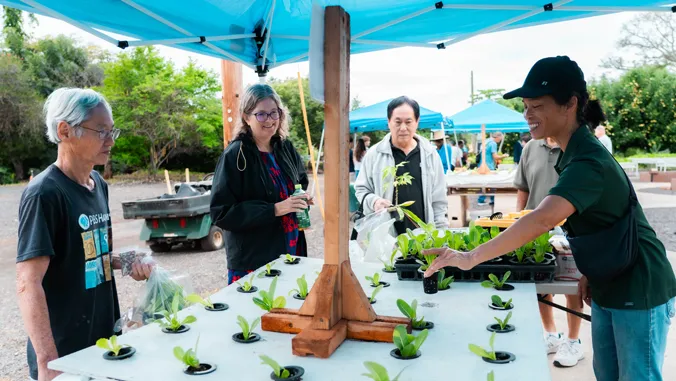 Trust, connection are key ingredients for Hawaii's food security